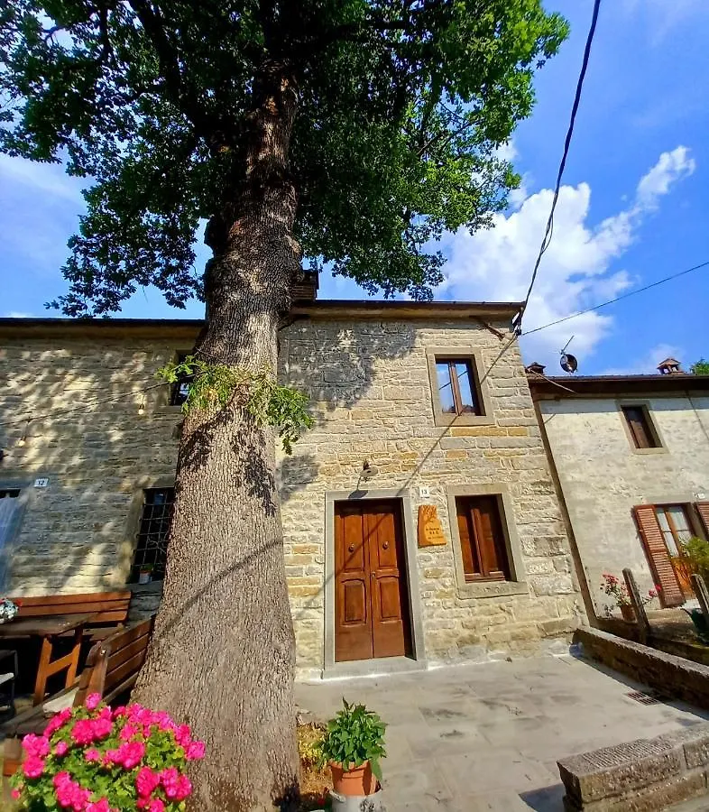 Apartment Ferienwohnung Casina La Quercia Santa Sofia