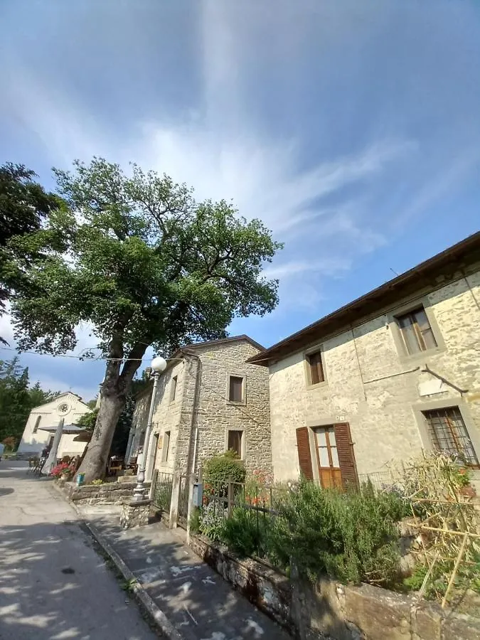 산타 소피아 Casina La Quercia 아파트 이탈리아