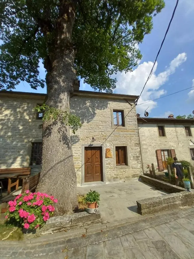 산타 소피아 Casina La Quercia 아파트 산타 소피아